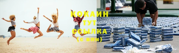 прущие грибы Абинск