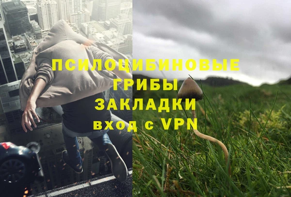 соль ск Абаза