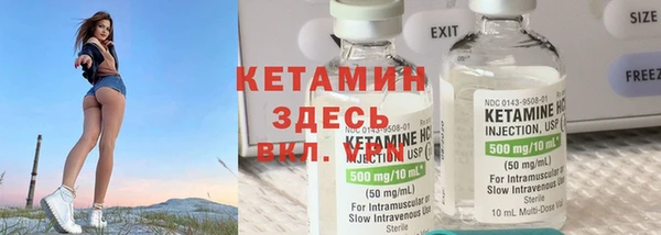 прущие грибы Абинск