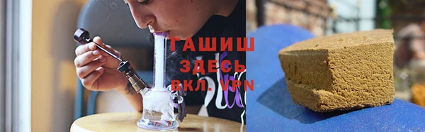 прущие грибы Абинск