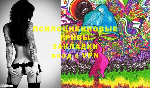 прущие грибы Абинск