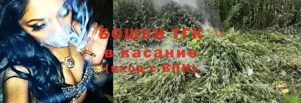 прущие грибы Абинск