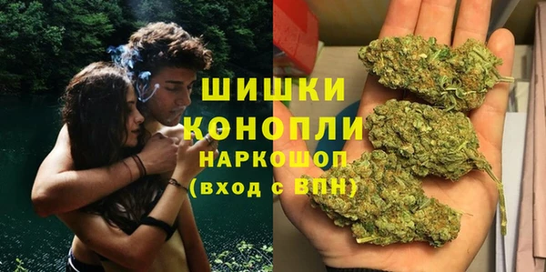 прущие грибы Абинск