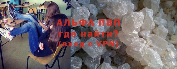 прущие грибы Абинск