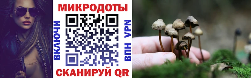 это какой сайт  Зеленокумск  Галлюциногенные грибы Magic Shrooms 